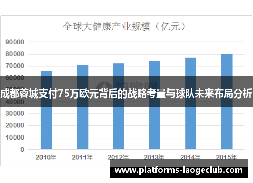 成都蓉城支付75万欧元背后的战略考量与球队未来布局分析 成都蓉城支付75万欧元背后的战略考量与球队未来布局分析