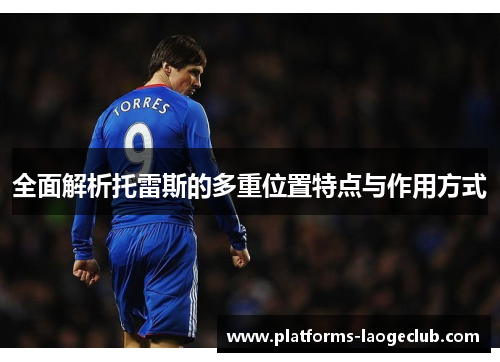 全面解析托雷斯的多重位置特点与作用方式 全面解析托雷斯的多重位置特点与作用方式