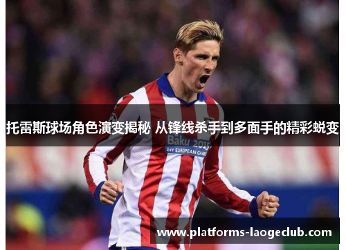 托雷斯球场角色演变揭秘 从锋线杀手到多面手的精彩蜕变