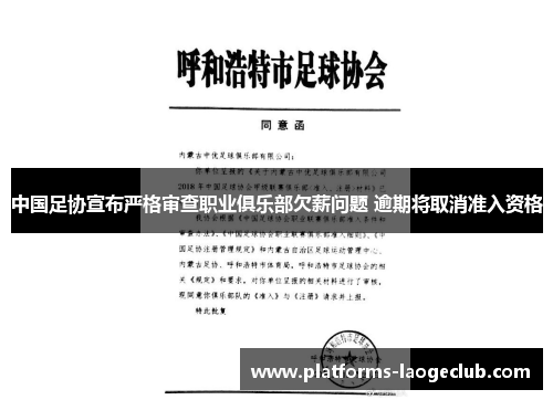 中国足协宣布严格审查职业俱乐部欠薪问题 逾期将取消准入资格 中国足协宣布严格审查职业俱乐部欠薪问题 逾期将取消准入资格