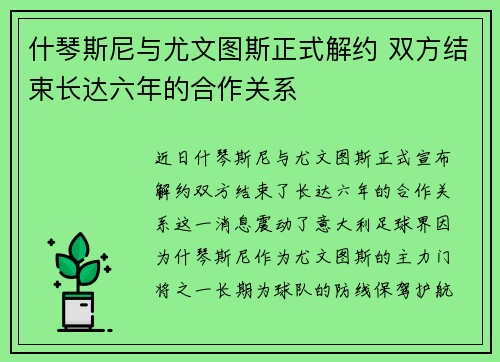 什琴斯尼与尤文图斯正式解约 双方结束长达六年的合作关系